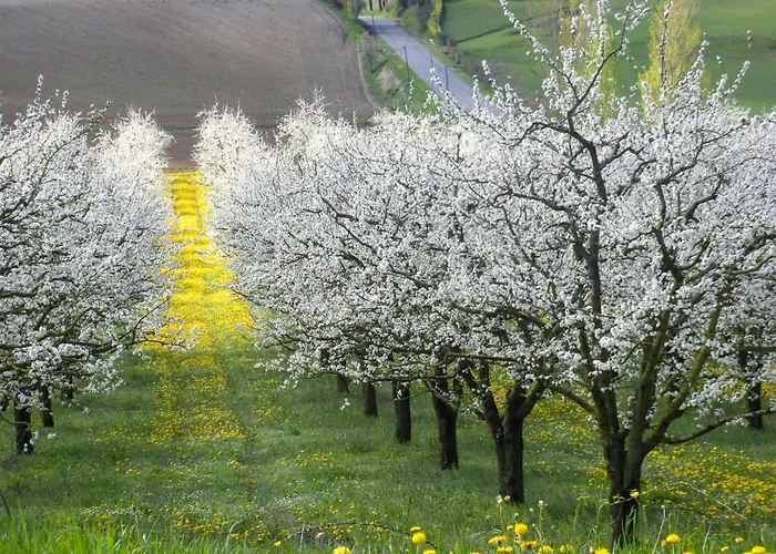 Private Hamlet In Sud Perigord Feriehus
